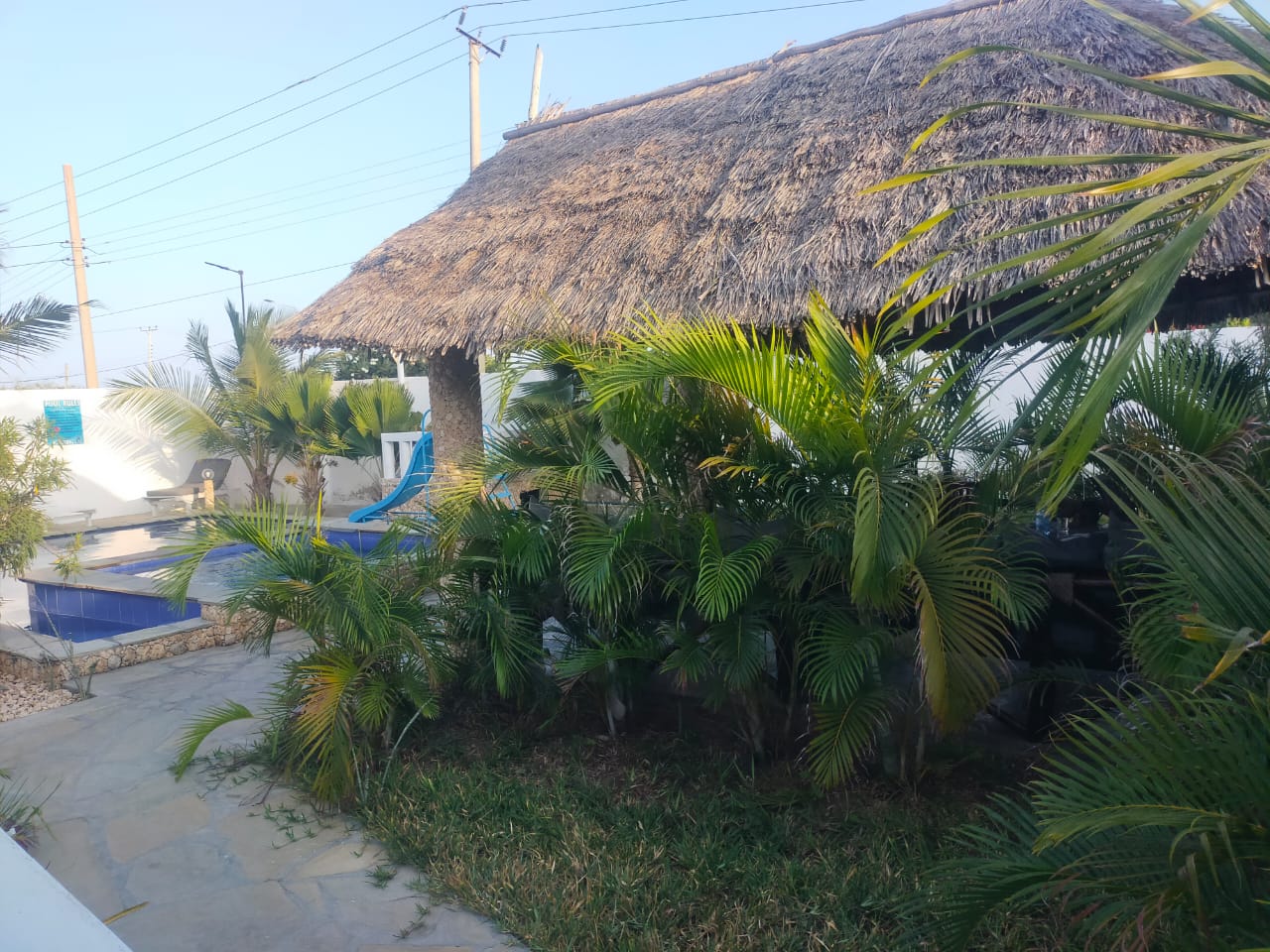 Arica Palm Hotel Gallery Image